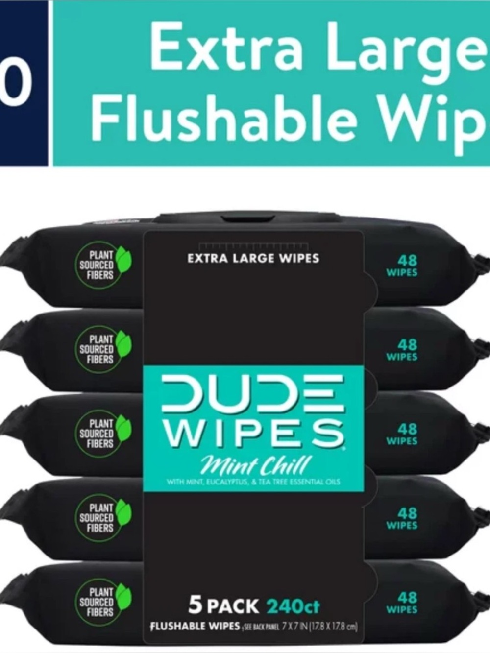DUDE Wipes Flushable Wipes, XL Wet Wipes for At Home Use, Mint Chill, 240 Count